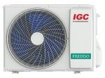 IGC RAS-V09NQR 2